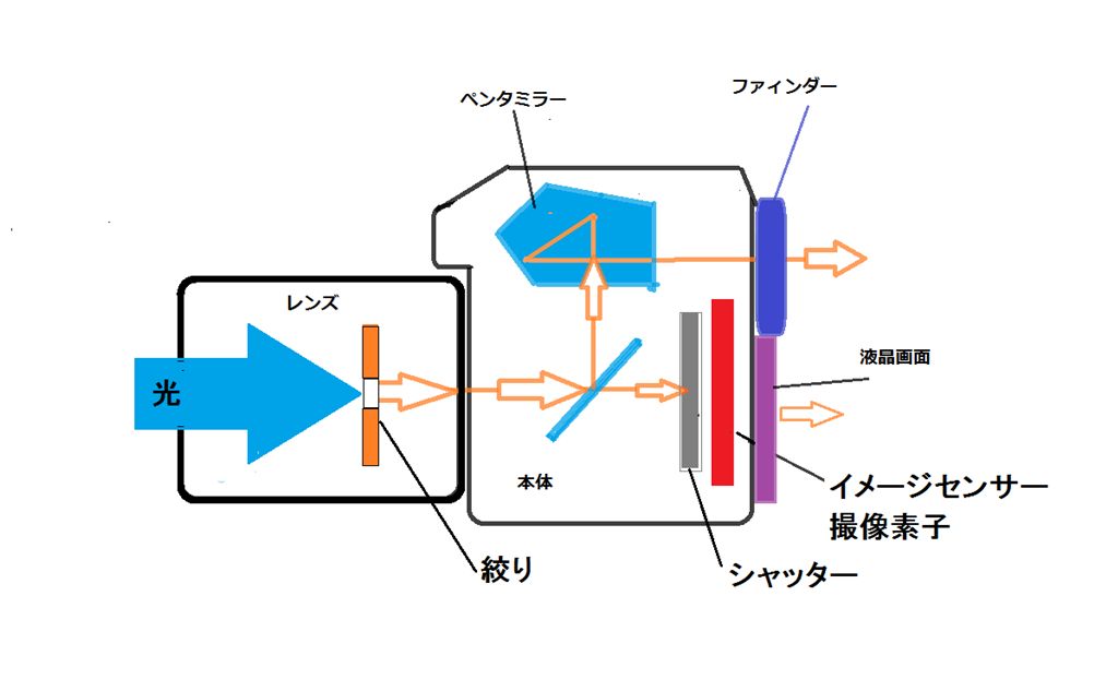 デジタル一眼レフ内部構造のイメージ図 デジタル一眼レフ内部構造のイメージ図