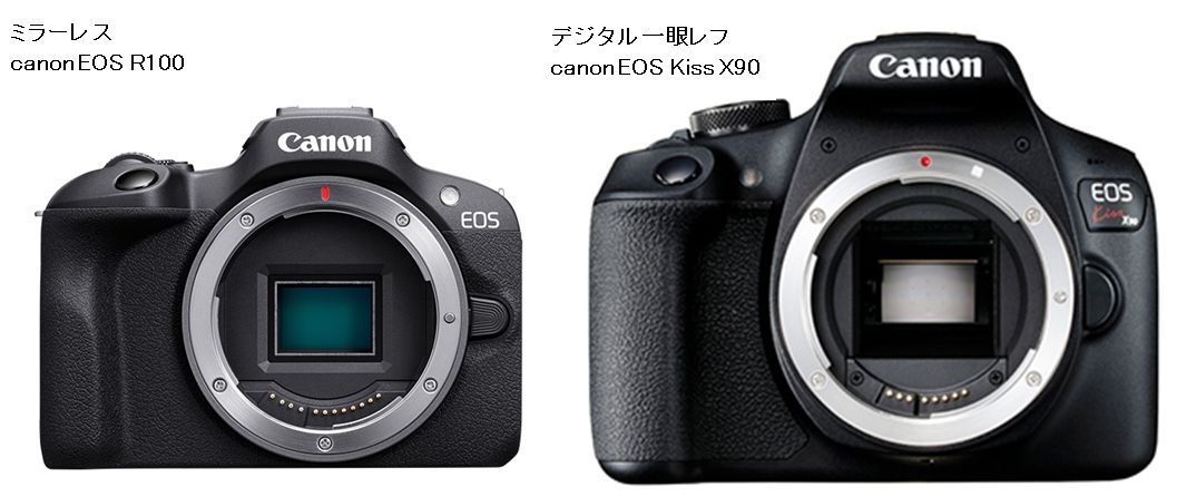 レンズ交換式、デジタル一眼、2つのタイプ レンズ交換式、デジタル一眼、2つのタイプ