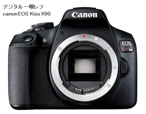 レンズ交換式、デジタル一眼、2つのタイプ レンズ交換式、デジタル一眼、2つのタイプ